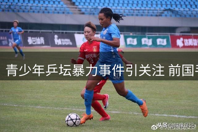 青少年乒坛暴力事件引关注 前国手胞弟赛场打人遭禁赛