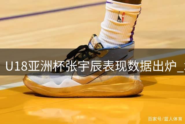U18亚洲杯张宇辰表现数据出炉 场均贡献7分3.6助攻